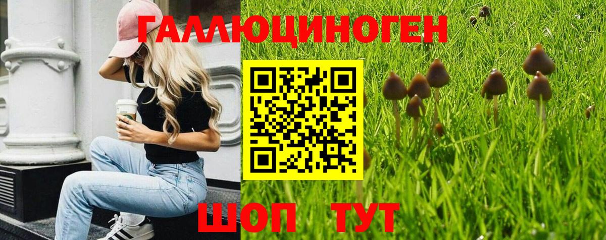 Галлюциногенные грибы ЛСД Строитель